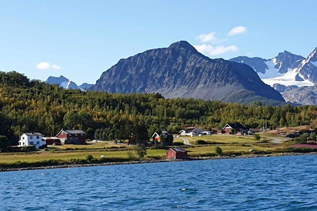 Traditional Farm House Located Close To Fjord Lyngseidet Exteriör bild